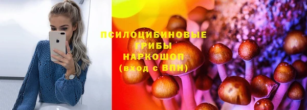 ПСИЛОЦИБИНОВЫЕ ГРИБЫ Алексеевка