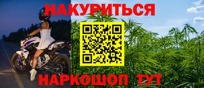 гидра Вышний Волочёк