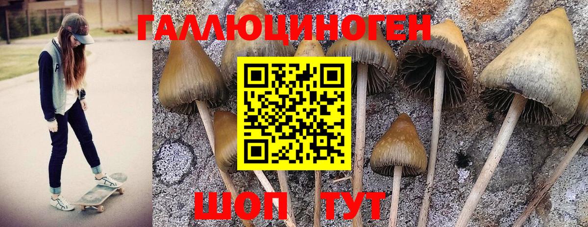 Псилоцибиновые грибы ЛСД  Галлюциногенные грибы Psilocybine cubensis  Благодарный  Вход с VPN 
